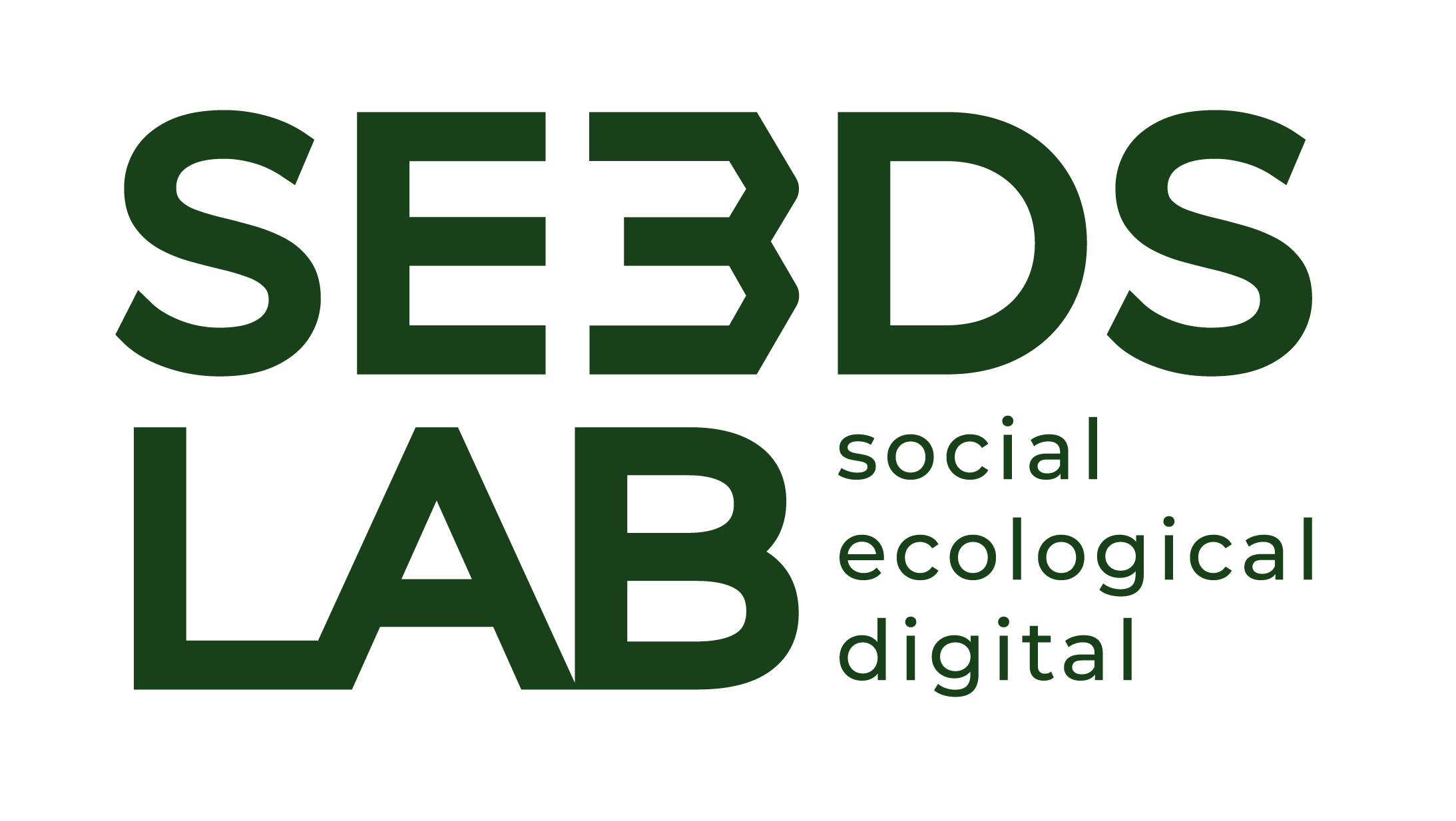SE3DS Lab